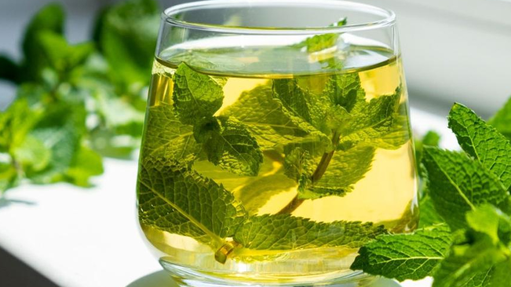 Teh Hijau dengan Mint